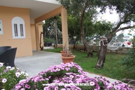 Apartmanok Maris fotó 4