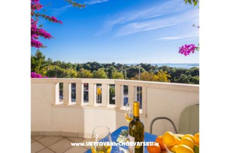 Apartmanok Polaris fotó 5