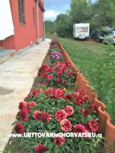 Apartmanok Gabrijel fotó 3