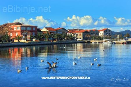Apartmanok Filip fotó 3