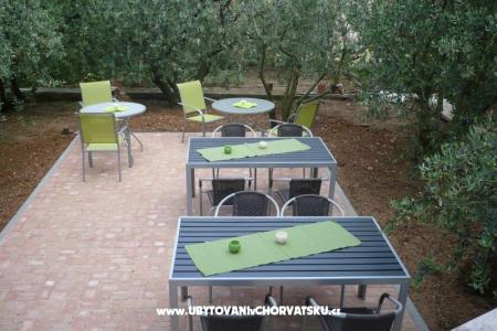 Apartmanok Olive fotó 4