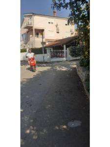 Apartmanok Stefani fotó 3