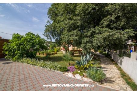 Studio apartmani Petra fotó 4