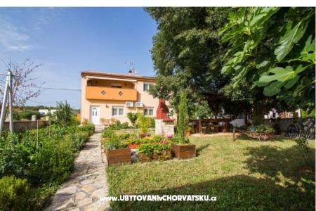 Studio apartmani Petra fotó 5