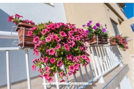 Apartmanok Galeb fotó 3