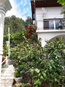 Apartman Seaside fotó 3
