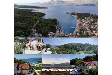 Apartmanok Villa Dragica fotó 2
