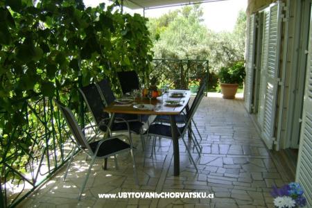 Villa Nikola fotó 5