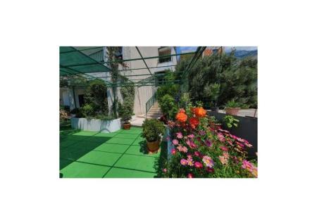 Apartmanok Ribičić Brela fotó 4