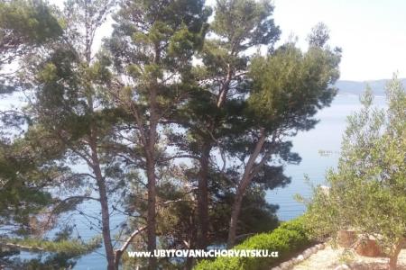 Apartmanok Vesna  - Brela fotó 4