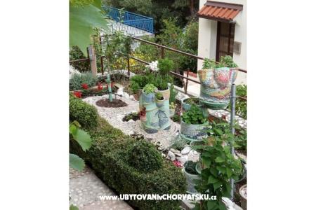 Apartmanok  Ivo Pikolo fotó 5