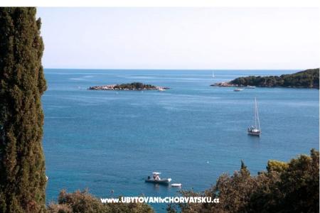 Apartman Iva fotó 3