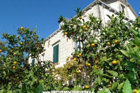 Apartmanok Mir Dubrovnik fotó 2