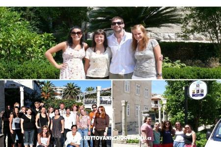Villa Micika - Dubrovnik fotó 5