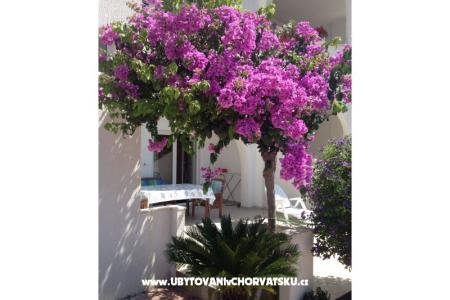 Villa Orij Apartmanok fotó 5