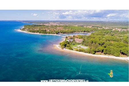 Apartmanok Alba fotó 5