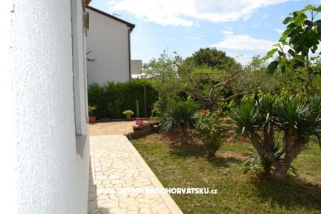 Vila Nona Ivka fotó 4