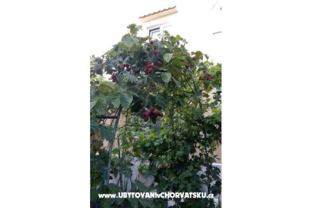 Apartmanok Matej fotó 5