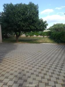 Apartmanok Colić fotó 3