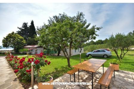 Apartmanok Miluška fotó 5