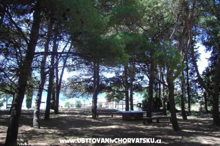 Apartmanok PARK fotó 5