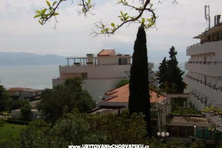 Apartman Gradac Falak fotó 2