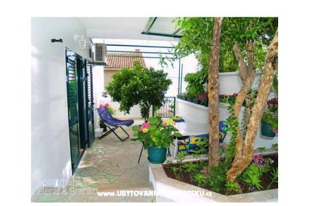 Apartmanok Elena  fotó 2