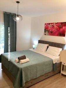 Apartmanok Helena fotó 3