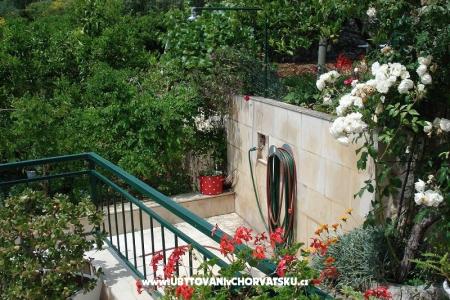 Apartmanok Ivana  fotó 4