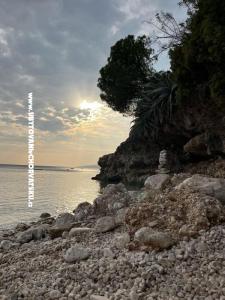 Apartmanok NIKOLA fotó 5