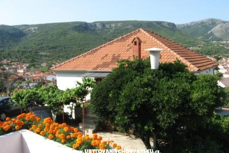 Apartmanok Jelsa-Hvar fotó 2