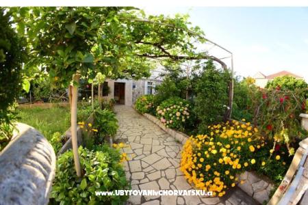 Apartmanok  Mate Slavic Hvar sziget Horvátország