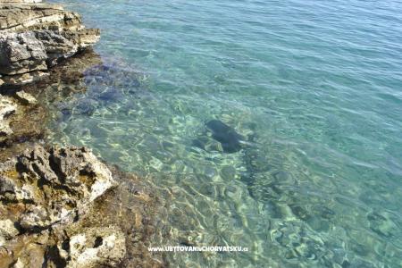 Villa Hvar Melody fotó 4