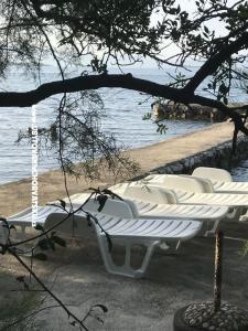 Apartman Sunshine Drace & Trstenik Horvátország