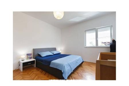 Apartman Sempervivum fotó 3