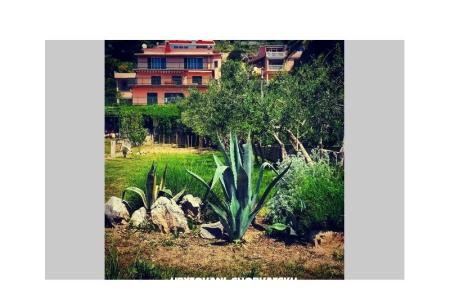 Apartmanok Irina, Duće-Omiš fotó 2