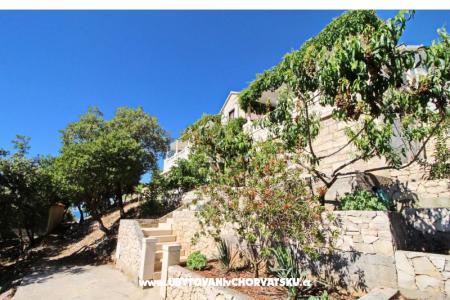 Apartmanok Ana Korčula Horvátország