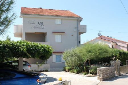 Apartmanok Vila Maslina Krk sziget Horvátország