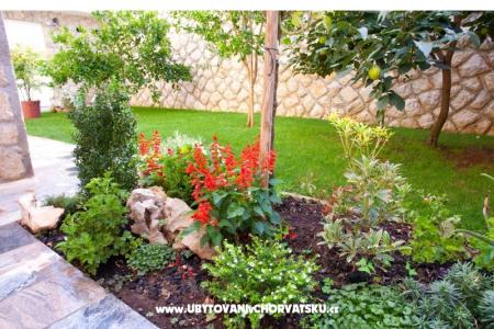 Lucia Apartmanok fotó 5