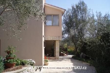 Apartmanok Kornic fotó 2
