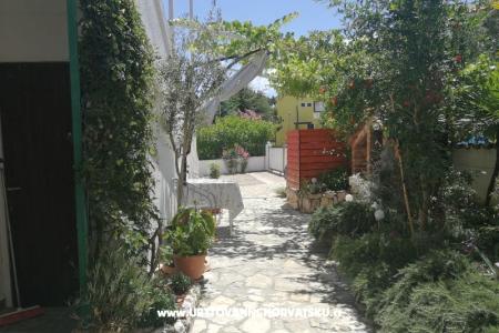 Studio Apartmanok Cene fotó 4