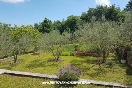 Apartmanok Mariela fotó 4