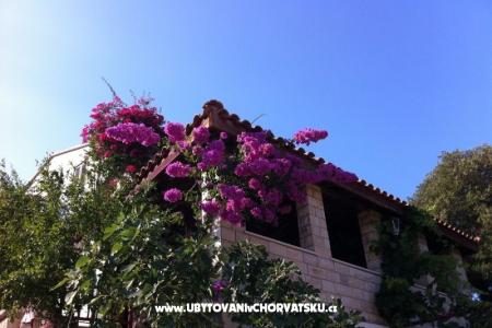 Villa Paradise fotó 5