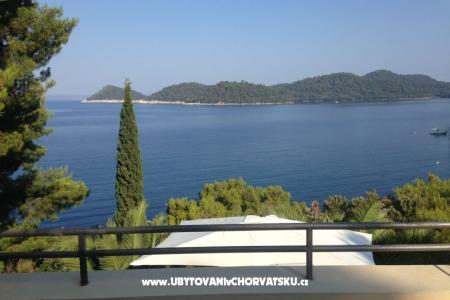 Villa Lastovo fotó 3