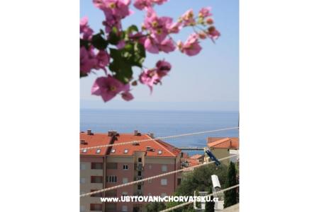 Apartman Bojana fotó 5