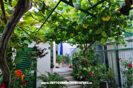 Apartmanok Vinea fotó 2