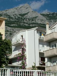Appartments Mira i Zdenko Roso fotó 2
