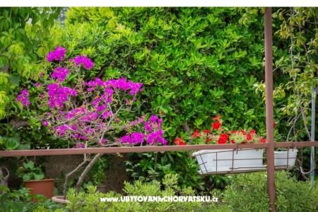 Apartmanok Daniela Makarska fotó 3