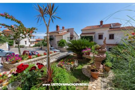 Apartmanok Ola fotó 3
