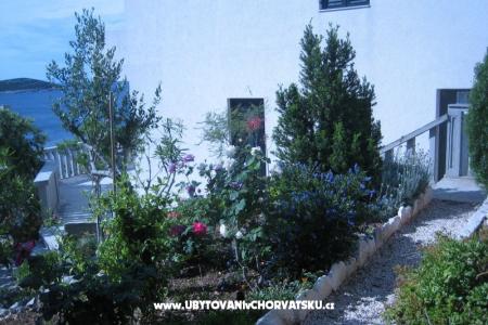 Apartmanok Punta  fotó 5